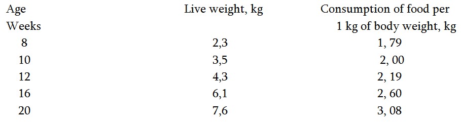 Technology of Turkey Meat Production